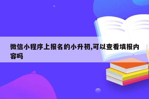 微信小程序上报名的小升初,可以查看填报内容吗