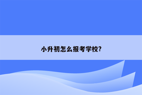 小升初怎么报考学校?