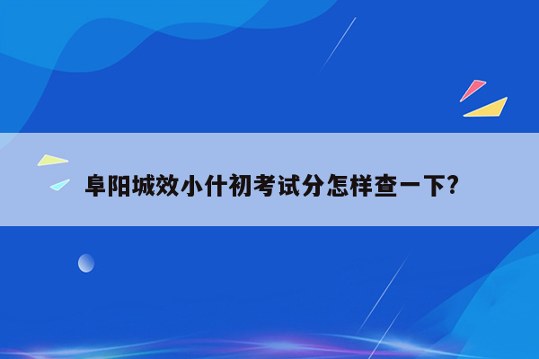 阜阳城效小什初考试分怎样查一下?