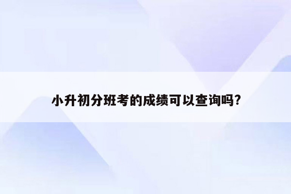 小升初分班考的成绩可以查询吗?