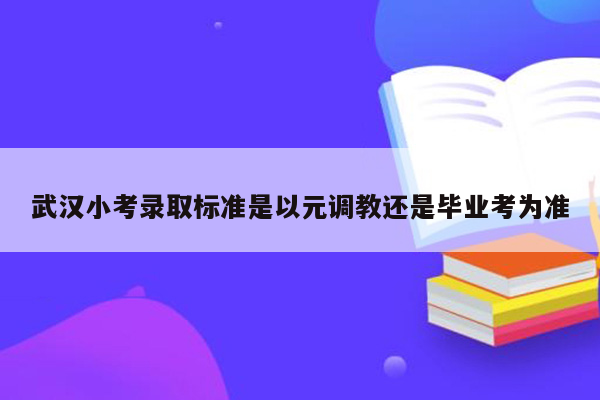 武汉小考录取标准是以元调教还是毕业考为准