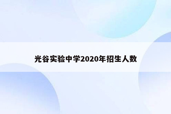 光谷实验中学2020年招生人数