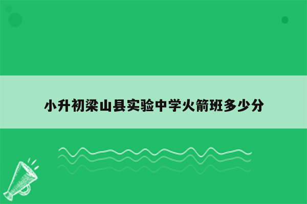 小升初梁山县实验中学火箭班多少分