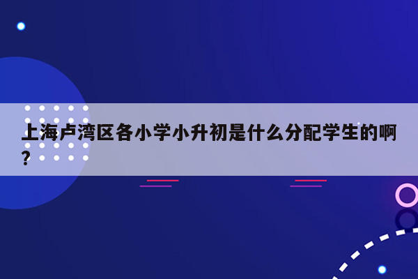 上海卢湾区各小学小升初是什么分配学生的啊?