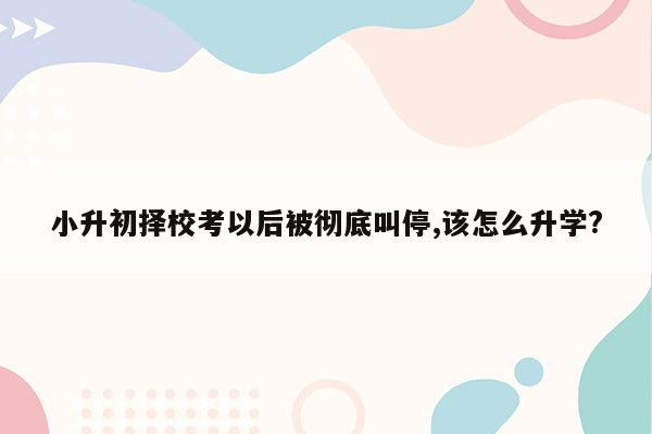 小升初择校考以后被彻底叫停,该怎么升学?