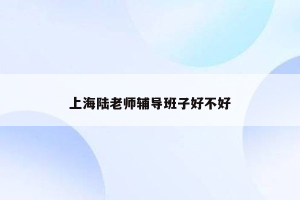 上海陆老师辅导班子好不好