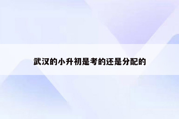 武汉的小升初是考的还是分配的