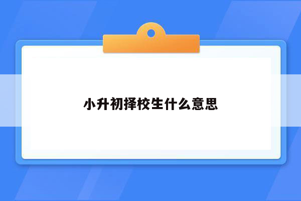 小升初择校生什么意思