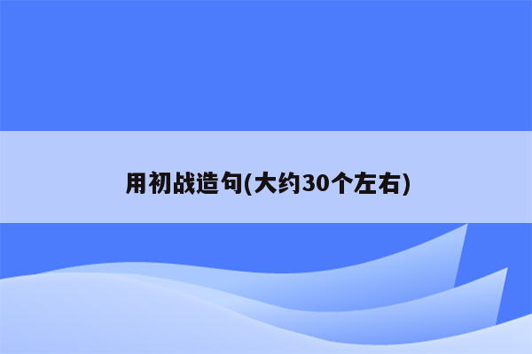 用初战造句(大约30个左右)