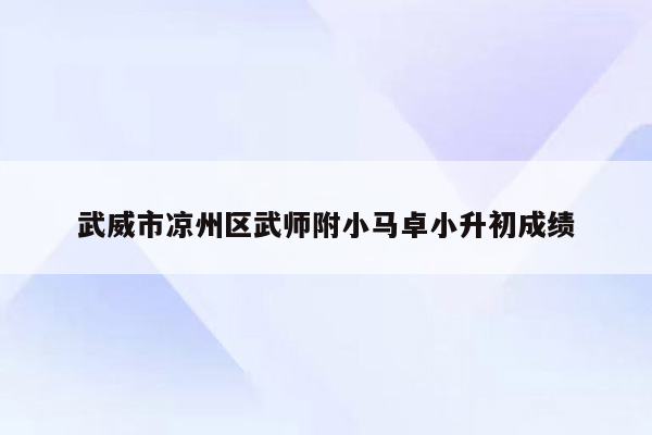 武威市凉州区武师附小马卓小升初成绩