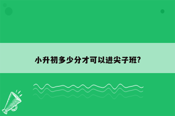 小升初多少分才可以进尖子班?