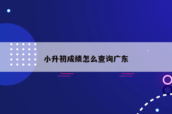 小升初成绩怎么查询广东