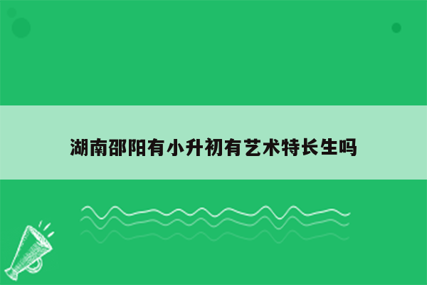 湖南邵阳有小升初有艺术特长生吗