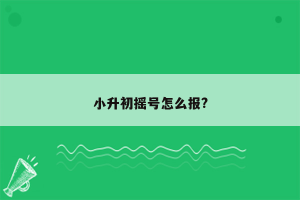 小升初摇号怎么报?