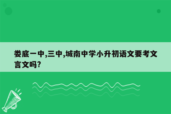 娄底一中,三中,城南中学小升初语文要考文言文吗?