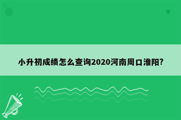 小升初成绩怎么查询2020河南周口淮阳?