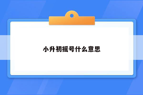 小升初摇号什么意思