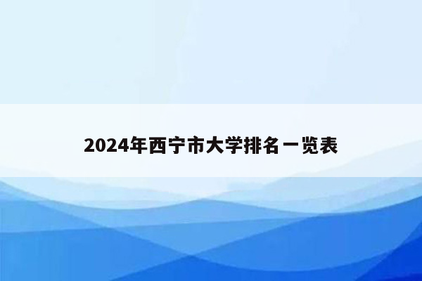 2024年西宁市大学排名一览表