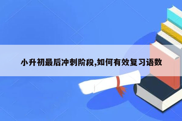 小升初最后冲刺阶段,如何有效复习语数