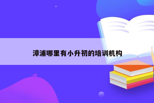 漳浦哪里有小升初的培训机构