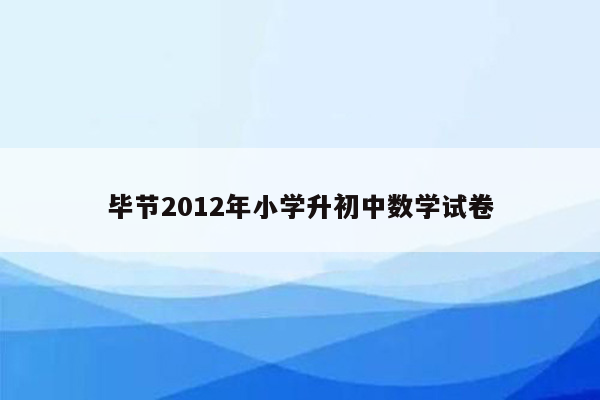 毕节2012年小学升初中数学试卷