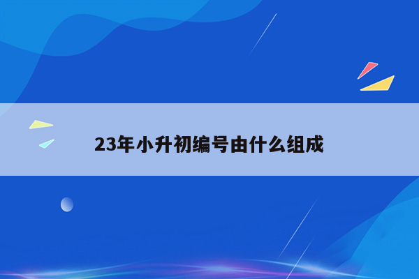 23年小升初编号由什么组成