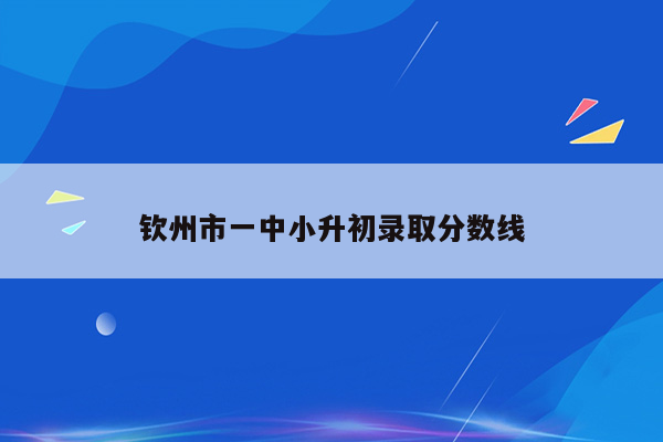 钦州市一中小升初录取分数线