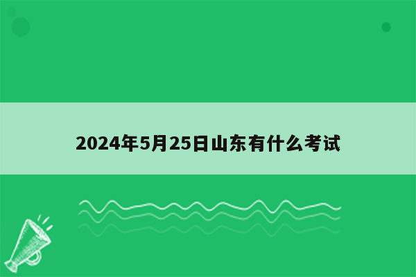 2024年5月25日山东有什么考试