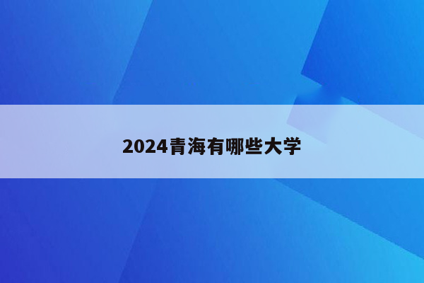 2024青海有哪些大学