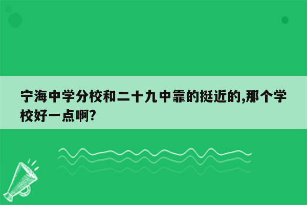 宁海中学分校和二十九中靠的挺近的,那个学校好一点啊?