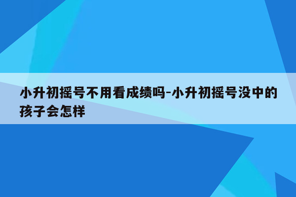 小升初摇号不用看成绩吗-小升初摇号没中的孩子会怎样