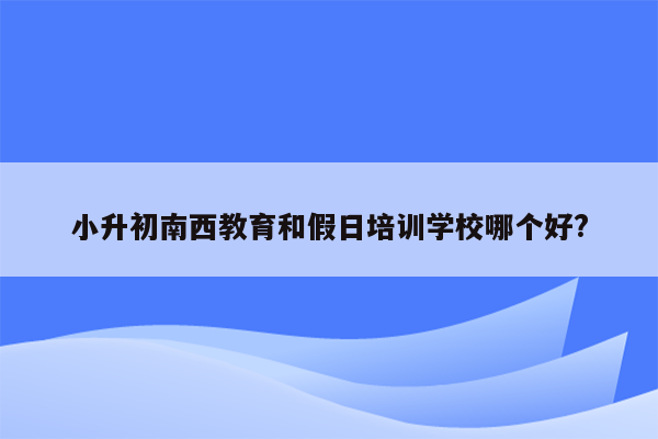 小升初南西教育和假日培训学校哪个好?