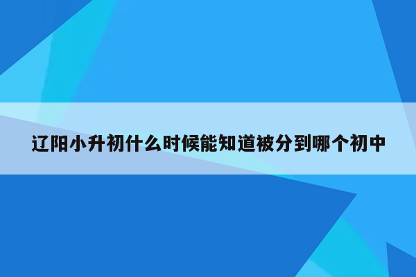 辽阳小升初什么时候能知道被分到哪个初中