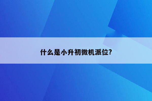 什么是小升初微机派位?