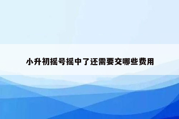 小升初摇号摇中了还需要交哪些费用