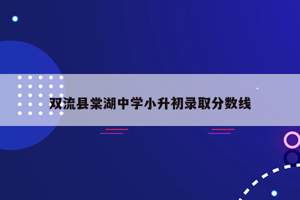 双流县棠湖中学小升初录取分数线