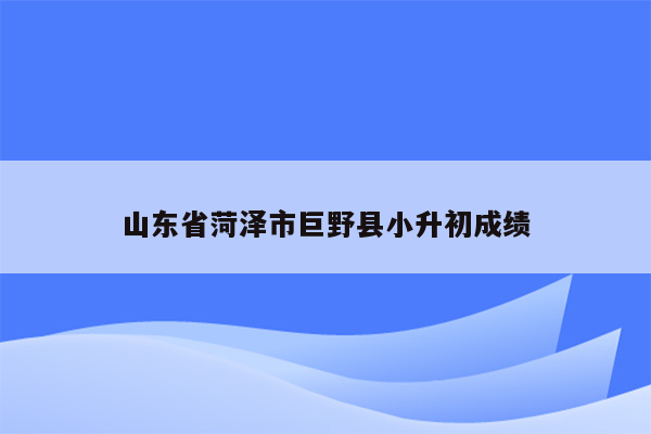 山东省菏泽市巨野县小升初成绩