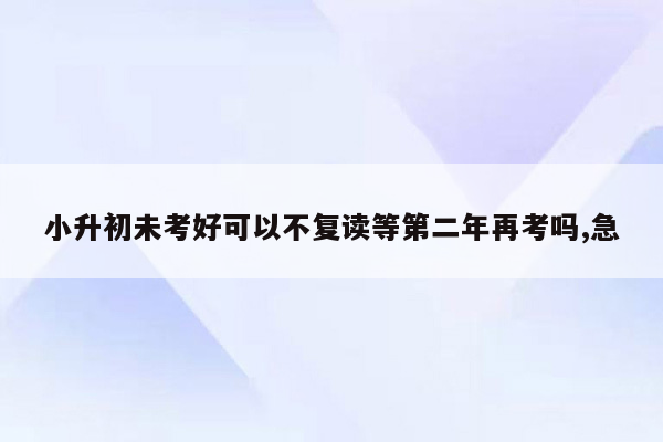 小升初未考好可以不复读等第二年再考吗,急