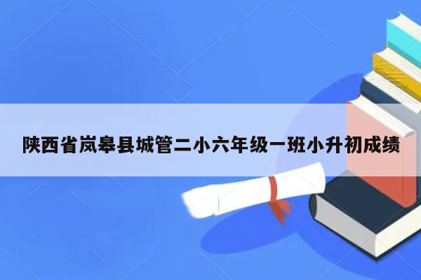 陕西省岚皋县城管二小六年级一班小升初成绩