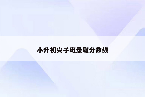 小升初尖子班录取分数线