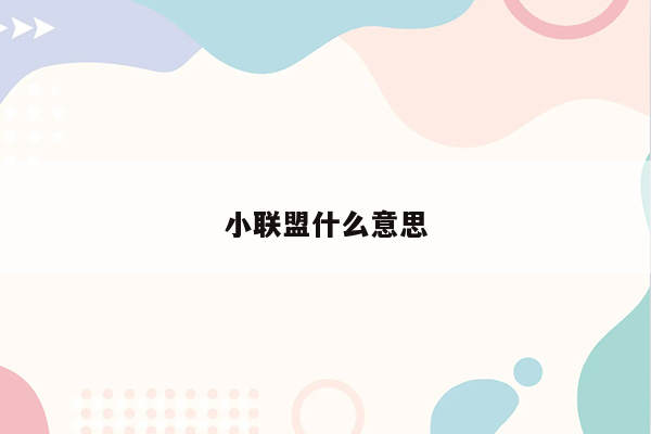 小联盟什么意思