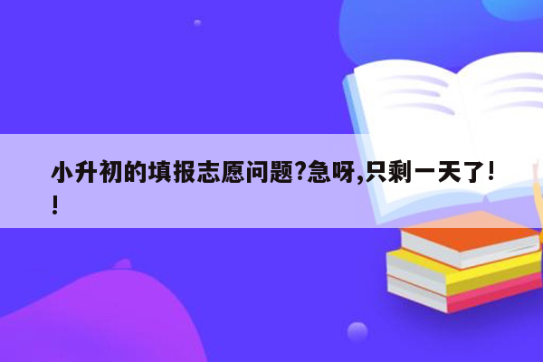 小升初的填报志愿问题?急呀,只剩一天了!!