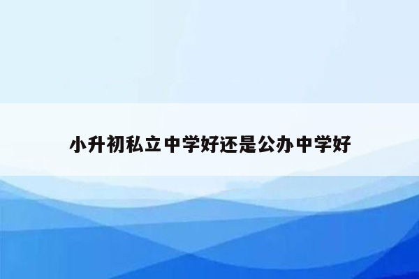 小升初私立中学好还是公办中学好