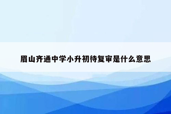 眉山齐通中学小升初待复审是什么意思