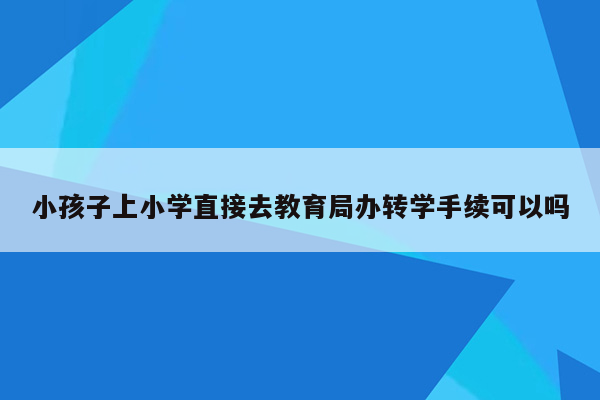 小孩子上小学直接去教育局办转学手续可以吗