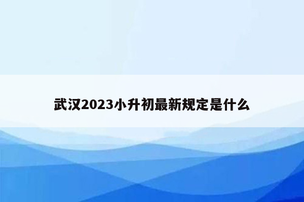 武汉2023小升初最新规定是什么