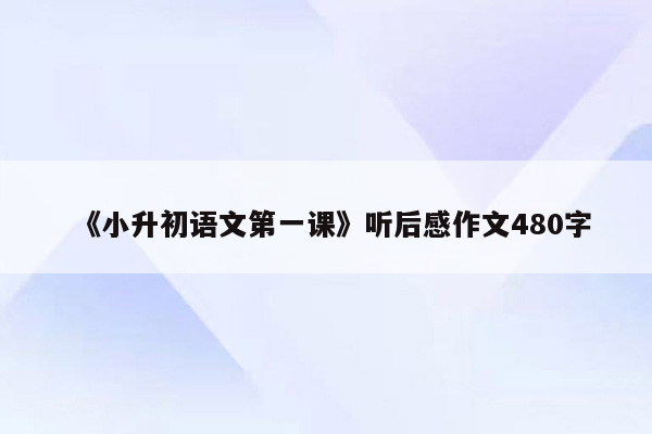 《小升初语文第一课》听后感作文480字