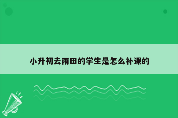 小升初去雨田的学生是怎么补课的