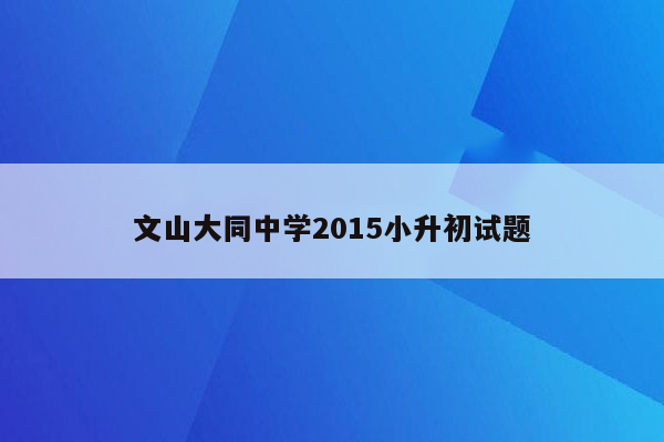 文山大同中学2015小升初试题