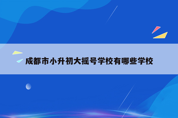 成都市小升初大摇号学校有哪些学校